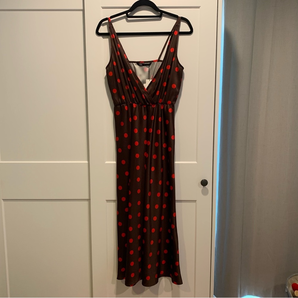 Super gorgeous brown red Zara dress